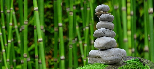 vật liệu nhà nhật bản hiện đại